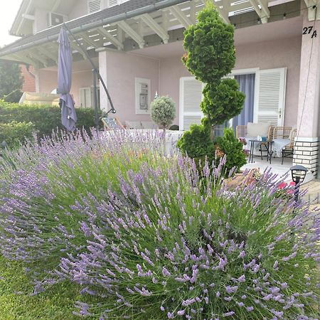 Villa Scamard Zamárdi Εξωτερικό φωτογραφία