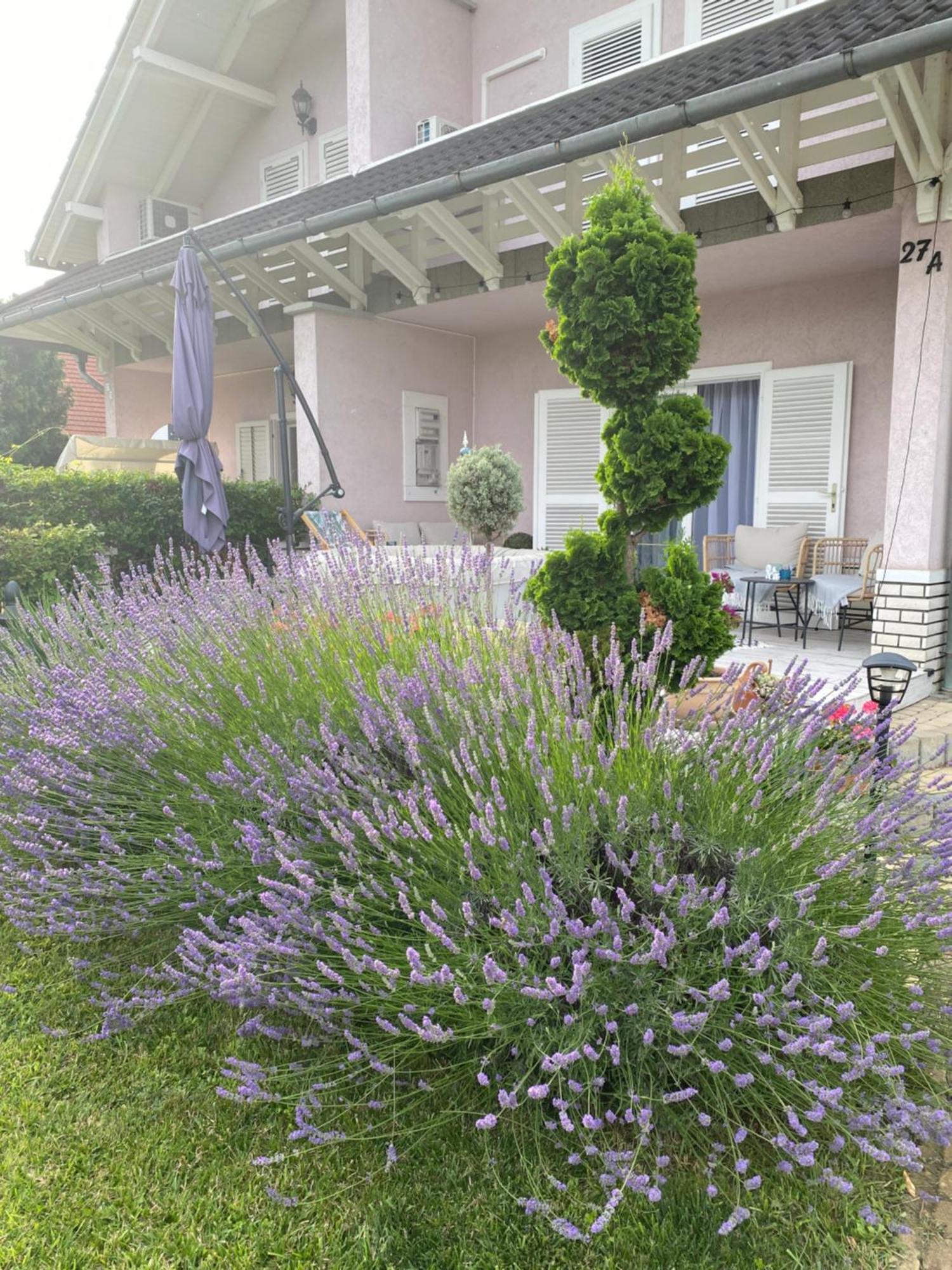 Villa Scamard Zamárdi Εξωτερικό φωτογραφία